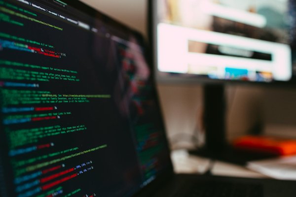 Die beste vegane ernährung für deinen hund: essentielle tipps für eine ausgewogene tierernährung