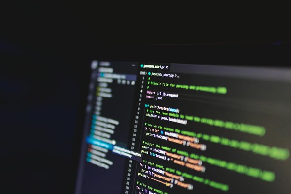 Schutzmaßnahmen für ihre kaninchen: so verteidigen sie ihr außengehege gegen raubtiere